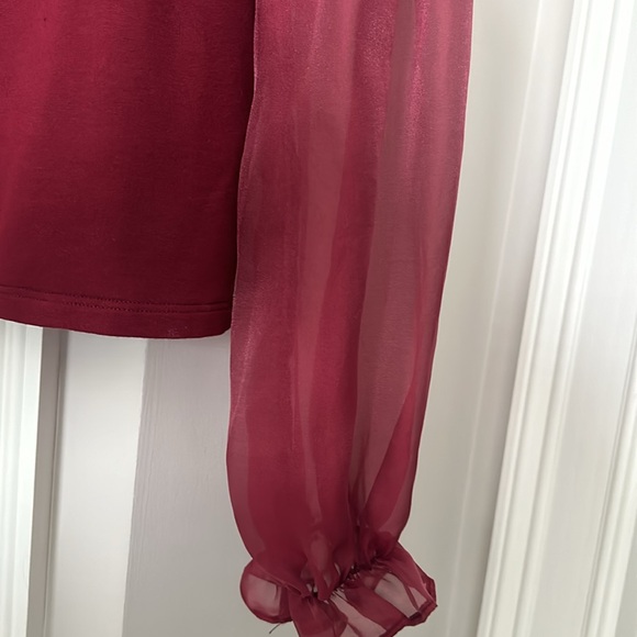 Anthropologie LS Sheer Puff Sleeve Top - Picture 3 of 6